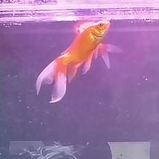 youth_于2020-06-11 11:36发布的图片