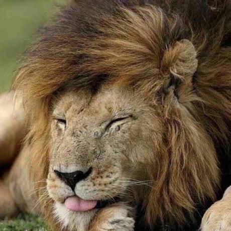 litty就是我于2020-06-11 13:53发布的图片