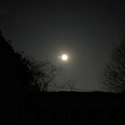 触摸指尖的温暖的个人资料头像