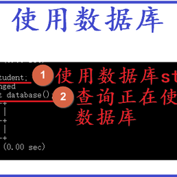 刘小爱于2020-06-11 22:57发布的图片