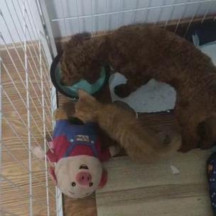 change于2020-06-12 07:51发布的图片