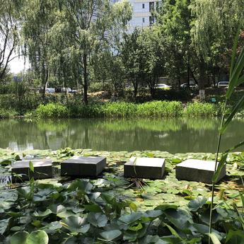 前端精髓于2020-06-12 12:35发布的图片