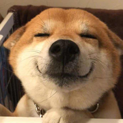 农夫_三拳的个人资料头像