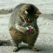 馬农的逆袭的个人资料头像