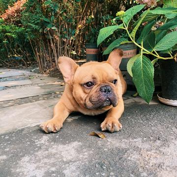 LuMouMou于2020-06-12 17:03发布的图片