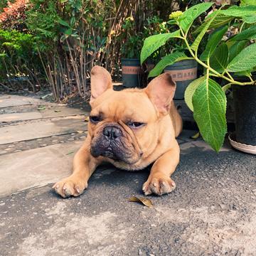 LuMouMou于2020-06-12 17:03发布的图片