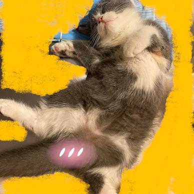 Huup_We于2020-06-12 23:21发布的图片