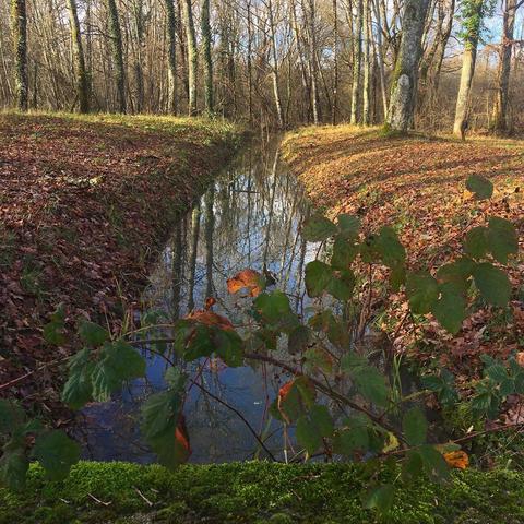 xxxL于2020-06-13 09:27发布的图片