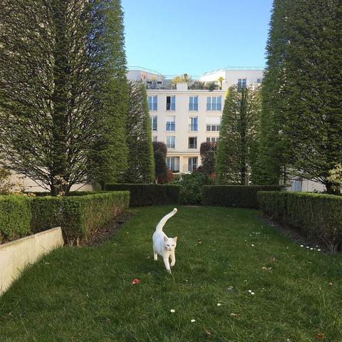 xxxL于2020-06-13 09:27发布的图片