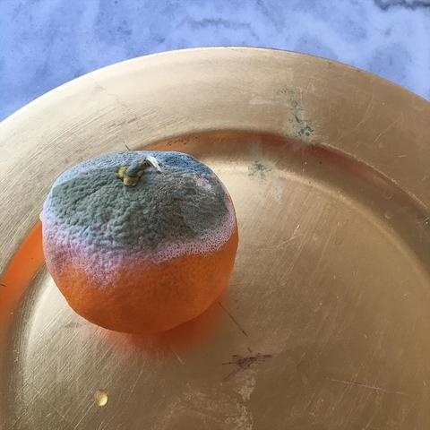 xxxL于2020-06-13 09:27发布的图片