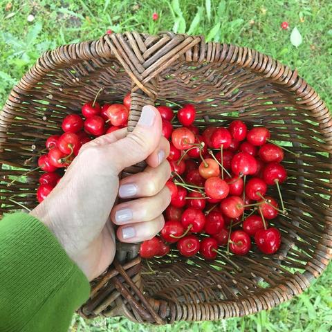 xxxL于2020-06-13 09:27发布的图片