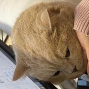 溜溜l的个人资料头像