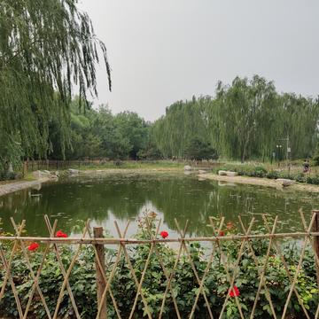 钟子敬07于2020-06-13 17:42发布的图片