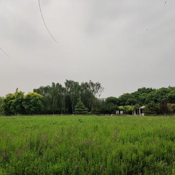 钟子敬07于2020-06-13 17:42发布的图片