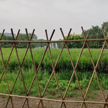 钟子敬07于2020-06-13 17:42发布的图片