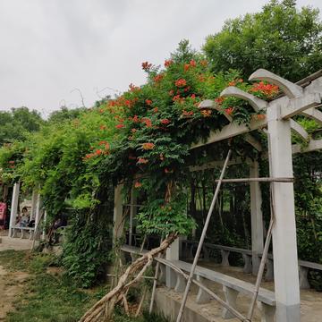 钟子敬07于2020-06-13 17:42发布的图片