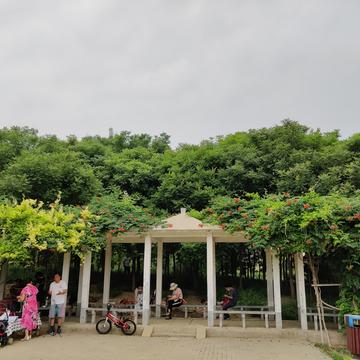 钟子敬07于2020-06-13 17:42发布的图片