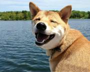 无趣小白的个人资料头像