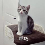 在此输入用户名的个人资料头像