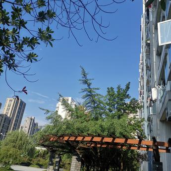 余静悦于2020-06-14 11:05发布的图片