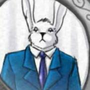 rabbitinhere的个人资料头像