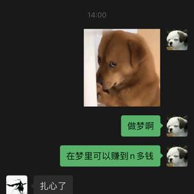 ipuppy于2020-06-14 14:04发布的图片