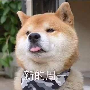 南有山海于2020-06-15 08:53发布的图片