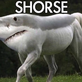 木亦Sam于2020-06-15 11:06发布的图片