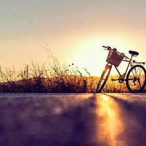 Ai懒人码农于2020-06-15 13:36发布的图片