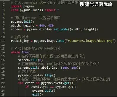 Python小游戏项目，兔子猎手教程，效果以及源码文件 第2张
