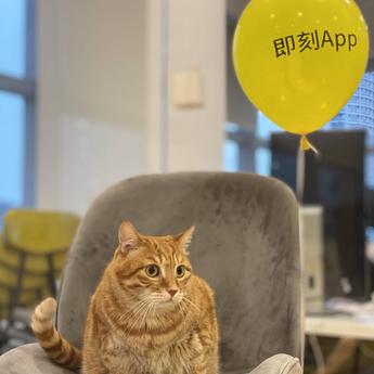 呱呱呱呱于2020-06-15 22:19发布的图片