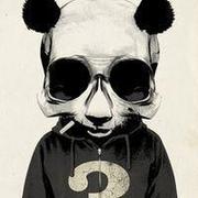 mugongxu的个人资料头像
