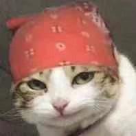 CZPN7于2020-06-16 07:23发布的图片