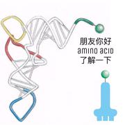 HiPolarize的个人资料头像