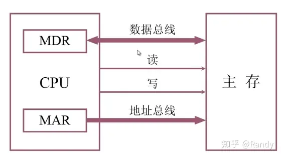 CPU、地址总线和数据总线的关系图