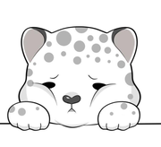 因崔斯颖的个人资料头像