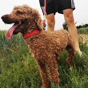 smartzhao11924的个人资料头像