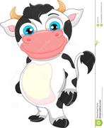 小母牛晒太阳的个人资料头像