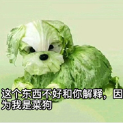 张鱼哥的个人资料头像