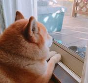 曾经沧海都是水的个人资料头像