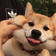 this_你可懂的个人资料头像