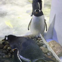 滚筒洗衣机_于2020-06-18 15:28发布的图片