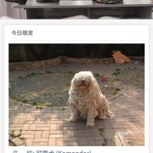 逆流De丶鱼于2020-06-18 18:02发布的图片