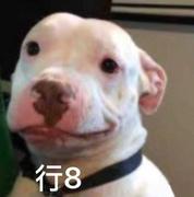 Mark23的个人资料头像