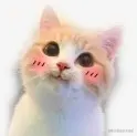 跳跃表确定不了解下😏