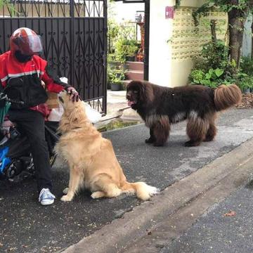 滚筒洗衣机_于2020-06-19 14:09发布的图片