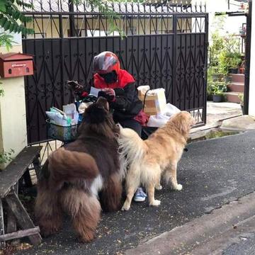 滚筒洗衣机_于2020-06-19 14:09发布的图片