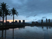 Anflower的个人资料头像