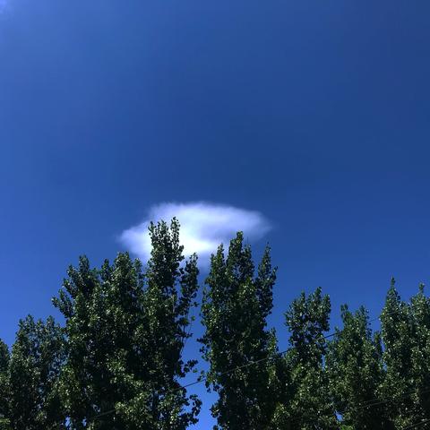 yoneyy于2020-06-02 06:59发布的图片