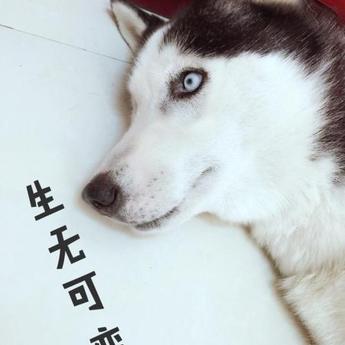 神奇的程序员于2020-06-02 08:19发布的图片